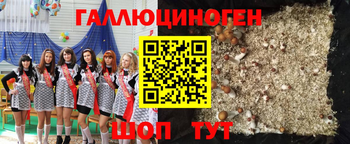 цены наркотик  Вход с VPN  Псилоцибиновые грибы ЛСД  Шали  Галлюциногенные грибы прущие грибы 